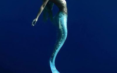L’AQUARIUM DE LA SIRENE