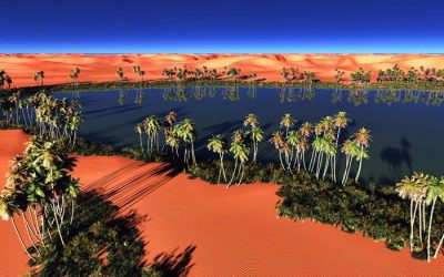 LES DUNES DU ZÉPHYR